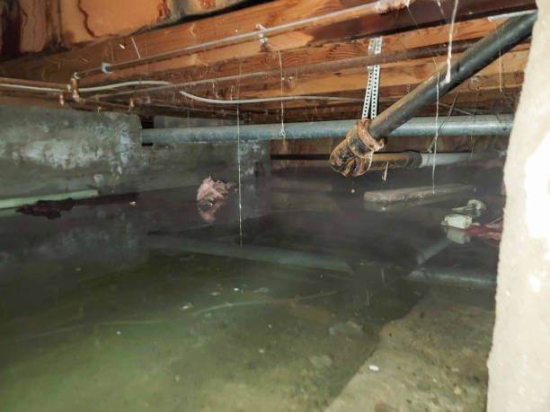 Professional Water damage restoration in Westvale, NY