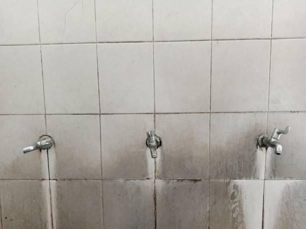 Best Water damage cleanup near me  in Westvale, NY