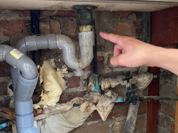 Best Professional water damage repair  in Westvale, NY