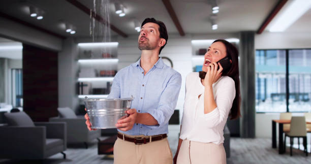 Best Water damage restoration near me  in Westvale, NY