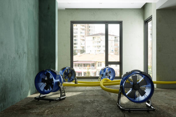 Best Basement water damage restoration  in Westvale, NY